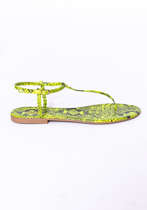 Sandália rasteirinha shoes animal print amarelo